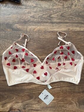 NWT Free People Pink and Red Heart Bralette